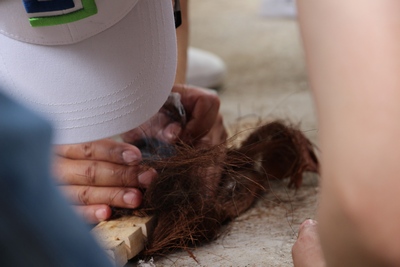 游艇会yth0008——凝心聚力,2019再创辉煌 游艇会yth0008——凝心聚力,2019再创辉煌