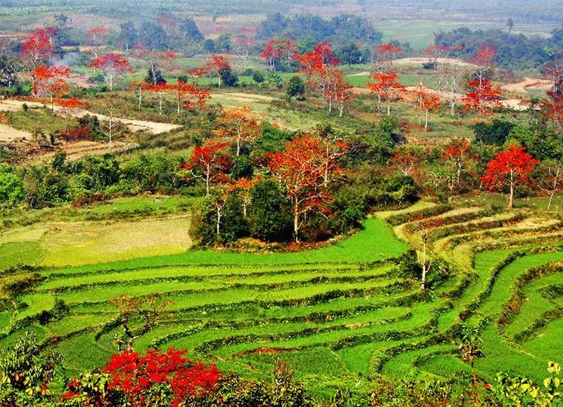 PEAVEY娱乐&昌江华城KTV,相遇在四季如春的海南 (2).jpg PEAVEY娱乐&昌江华城KTV,相遇在四季如春的海南 (2).jpg