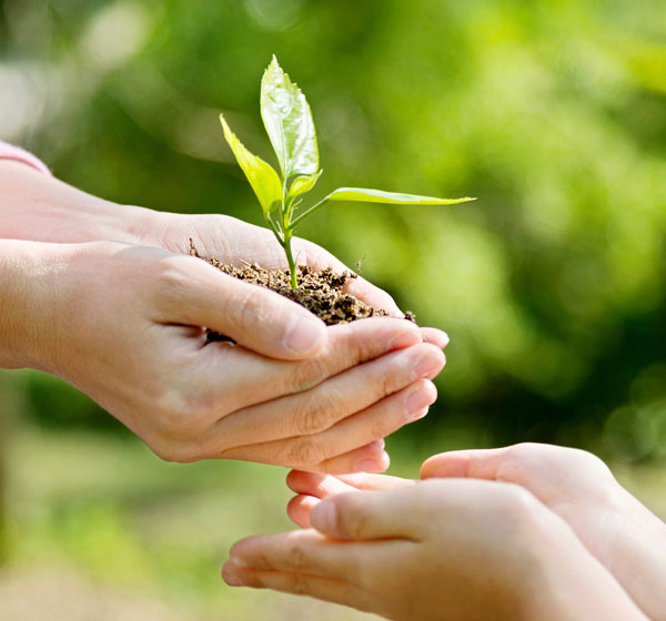 公益战略 游艇会yth0008行动